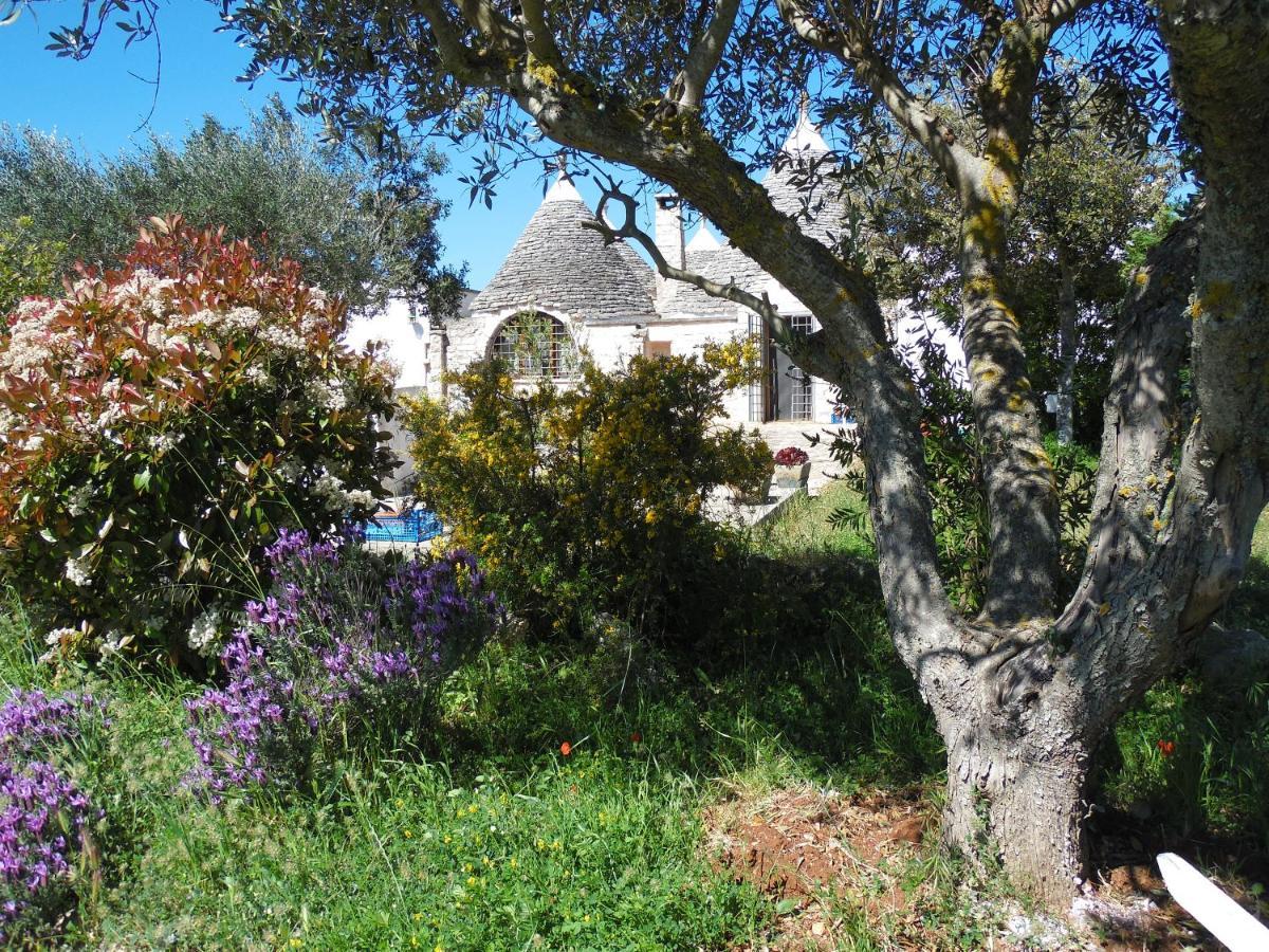 B&B Trulli Sotto La Cupa Мартина-Франка Экстерьер фото