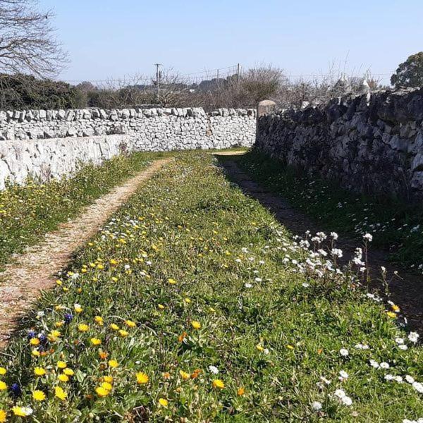 B&B Trulli Sotto La Cupa Мартина-Франка Экстерьер фото