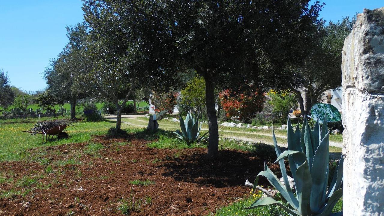 B&B Trulli Sotto La Cupa Мартина-Франка Экстерьер фото
