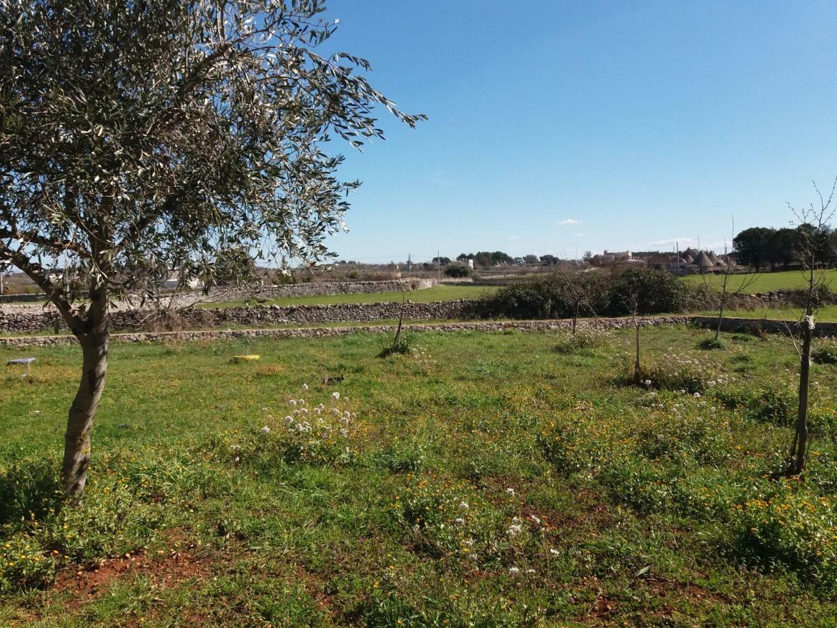 B&B Trulli Sotto La Cupa Мартина-Франка Экстерьер фото